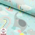 Flanelle Small and Mighty by 3 Wishes - Rainbow